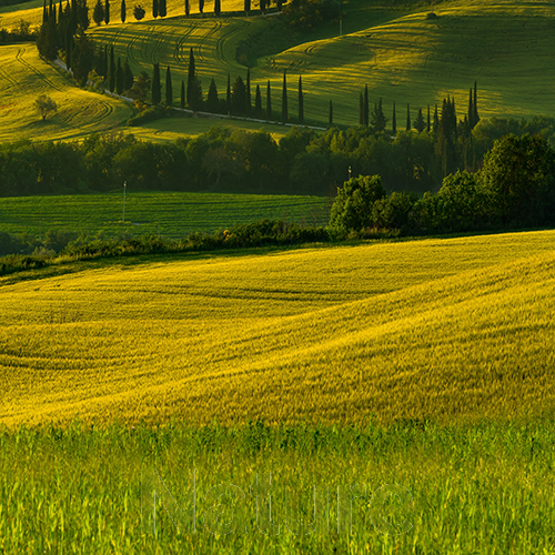 image of a green hill